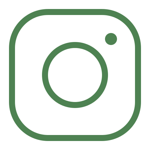 icons8-instagram-500 (1)